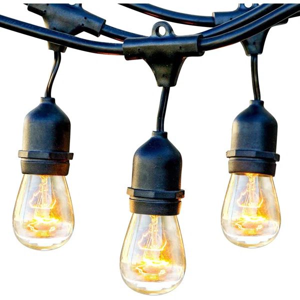 Feltman 48'' Outdoor 15 - Bulb Standard String Light (End to End Connectable) | Wayfair North America