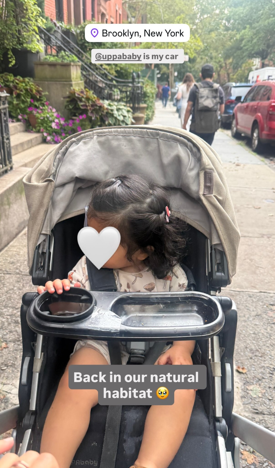 Back in our natural habitat 🥹🤍 Nothing beats stroller walks around Brooklyn! This stroller has been through it all with us 😂

#MomLife #StrollerLife #BrooklynMom #NYCMom #MomEssentials #BabyEssentials #ToddlerMom #StrollerWalks #CityMom #Uppababy #BabyGear #MomFavorites #LTKBaby #LTKFamily #LTKFinds #ShopLTK 

 #LTKdayinmylife #LTKBaby #LTKKids