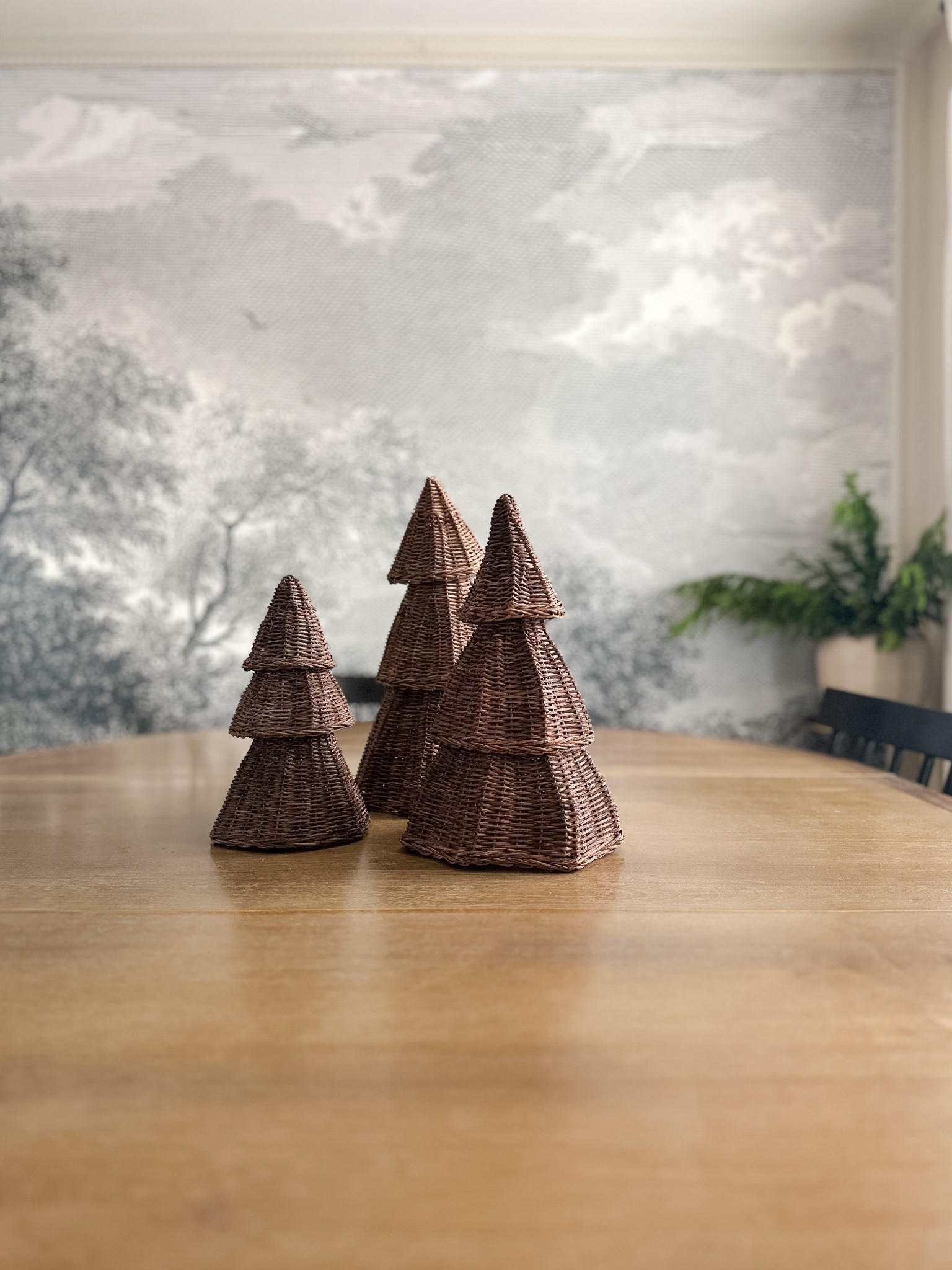 Rattan Christmas trees — three sizes available!

Target holiday finds

#LTKHoliday #LTKHome