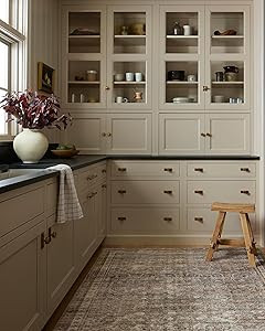 LOLOI Chris Loves Julia Jules Collection JUL-09 Ink/Terracotta 2'-0'' x 5'-0'' Accent Rug | Amazon (US)