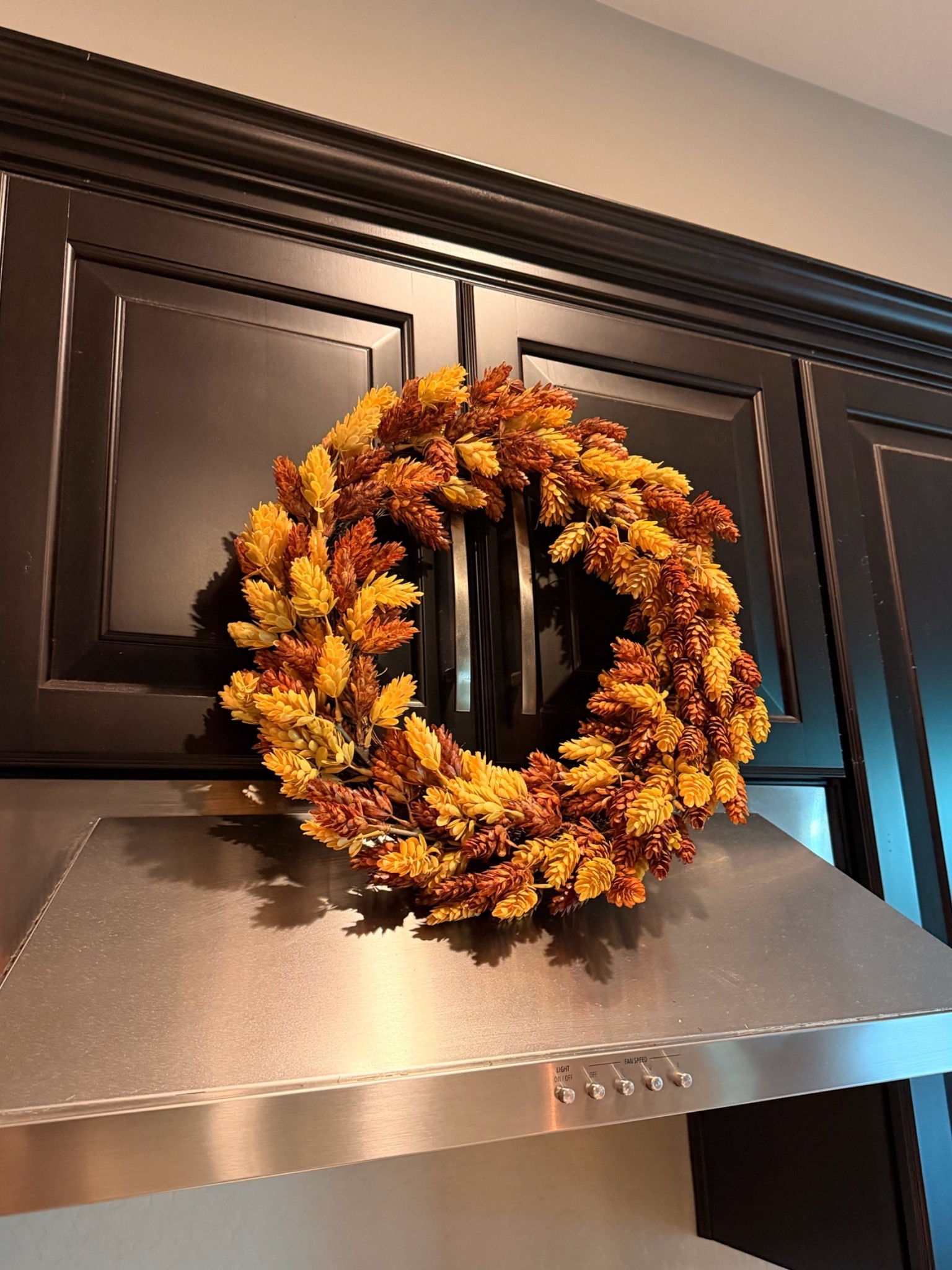 my favorite fall wreath is back in stock!! @Target

#LTKHome #LTKSeasonal #LTKdayinmylife