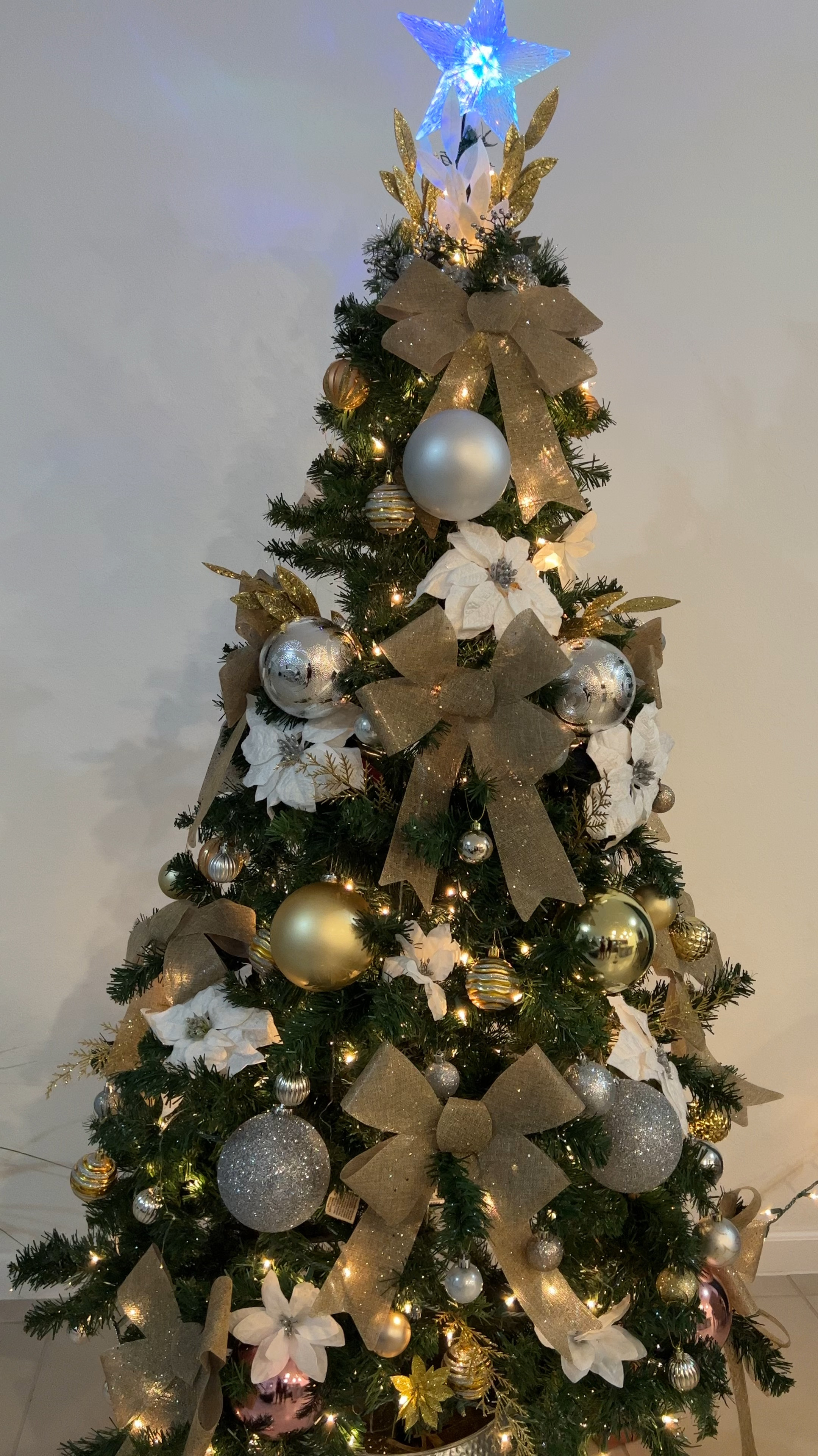 My glam themed Christmas tree

#LTKSeasonal #LTKhome #LTKHoliday