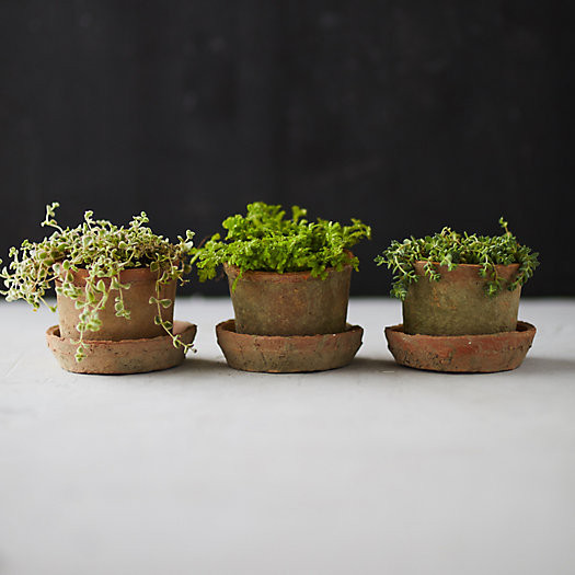 Earth Fired Clay Low Sill Pot + Saucer, Set of 3 | Terrain