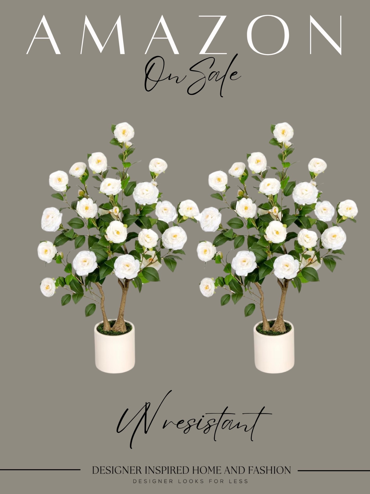 Amazon UV resistant gardenia plants on sale! 

#LTKSeasonal #LTKHome #LTKSaleAlert