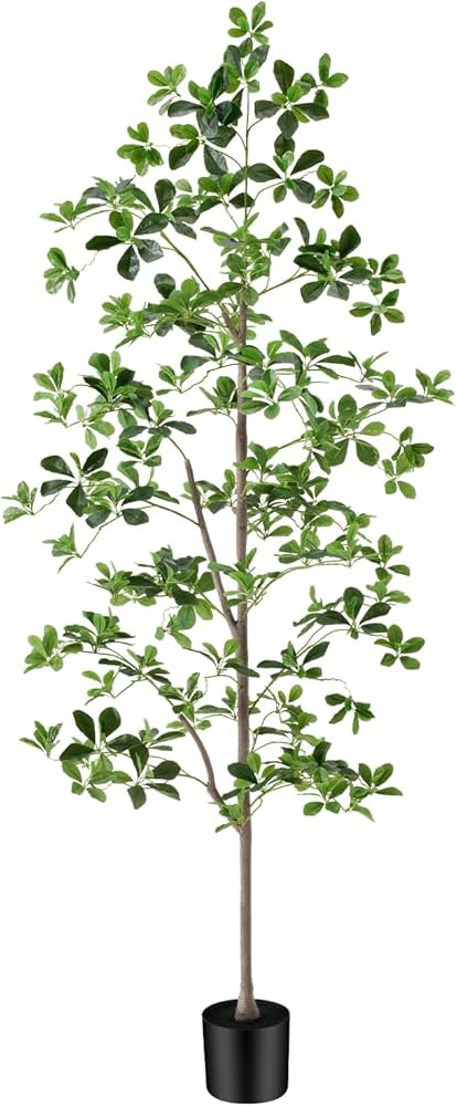6ft Tall Artificial Black Olive Tree with 945 Lifelike Leaves, Tall Fake Greenery Olive Silk Plan... | Amazon (US)