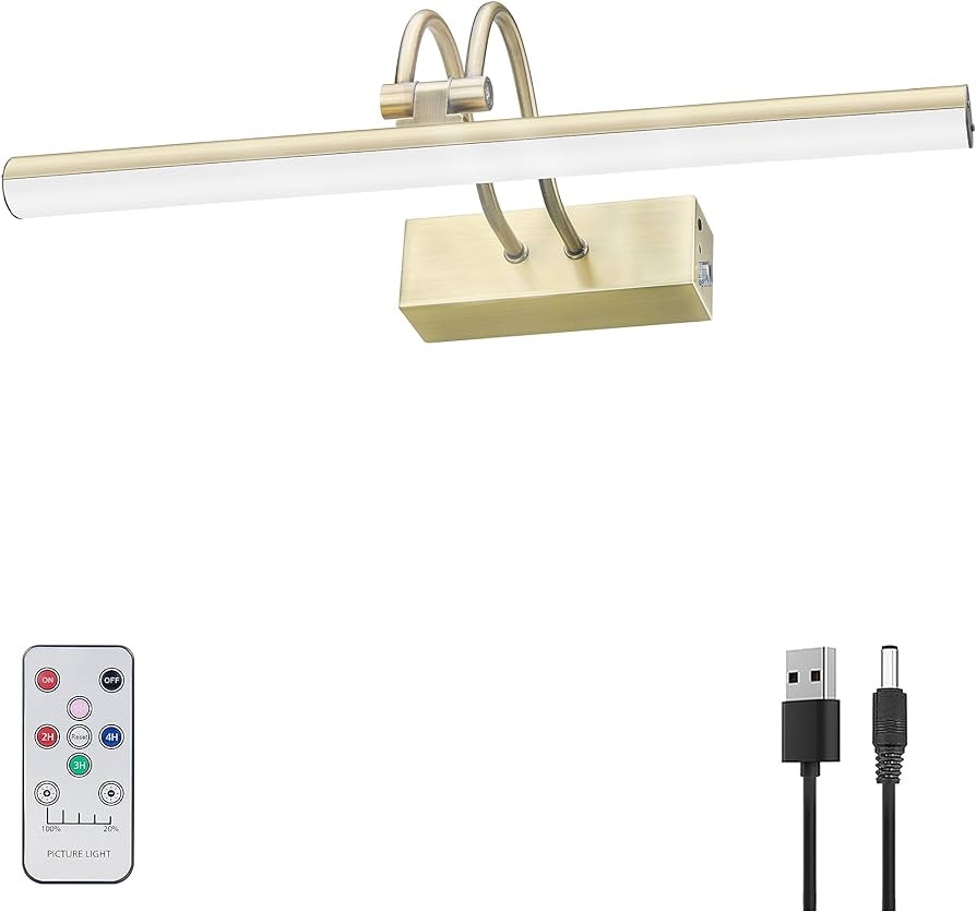 RAIFOOLLY Picture Light, 13in Battery Operated Picture Lights for Paintings,Metal Remote Display ... | Amazon (US)