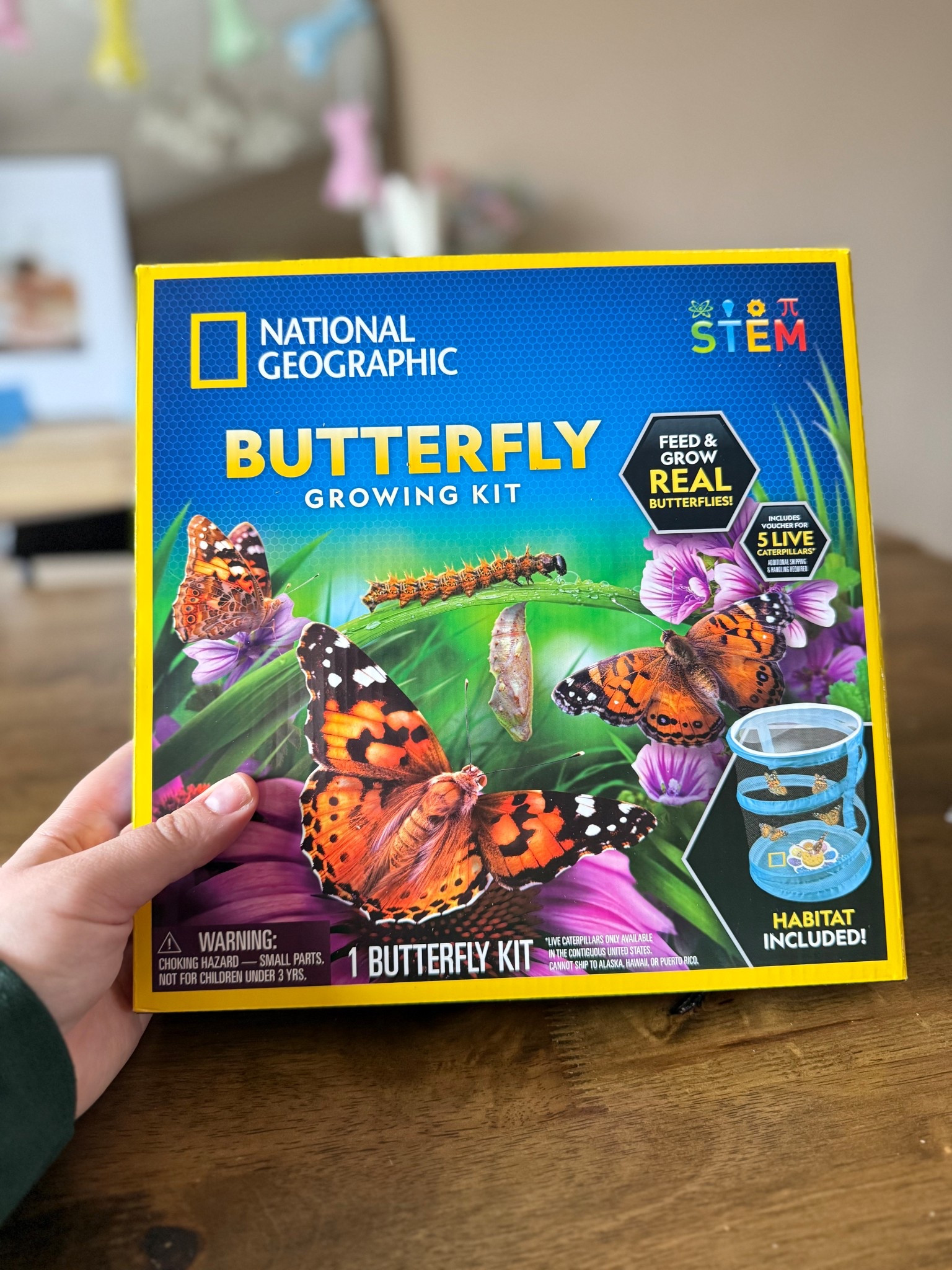 Such a good price and such a fun spring activity with your kids! 

#LTKSaleAlert #LTKKids #LTKFamily