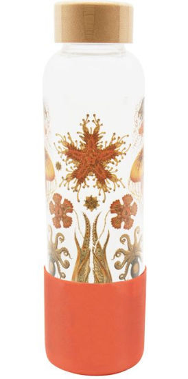 Archive Oceans Glass Water Bottle | Barnes & Noble