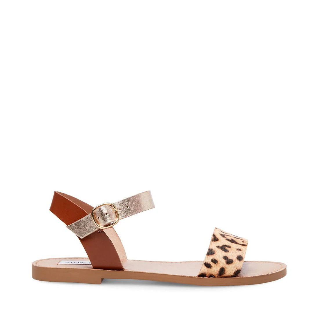 DONDDI-A ANIMAL | Steve Madden (US)
