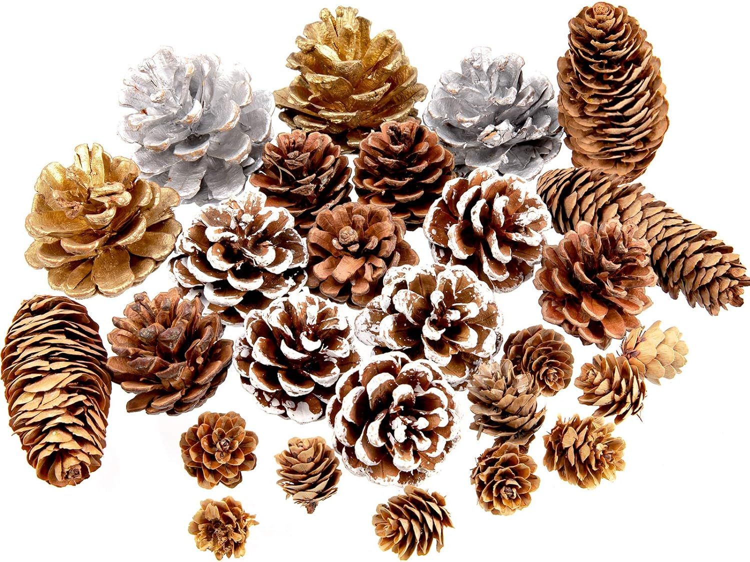 Whaline 27Pcs Christmas Pine Cones Natural Pinecones Silver Gold Snow Pin Cones Spruce Pine Cones... | Amazon (US)
