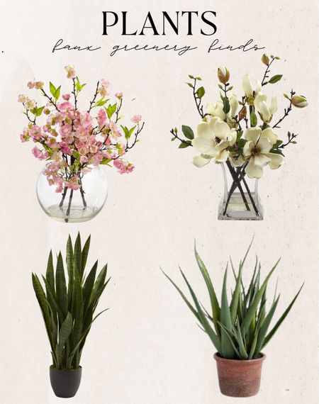 Faux greenery and floral plant finds. Budget friendly furniture finds. For every budget. Organic modern, traditional, mid century modern, boho chic, coastal home. Amazon home finds, modern farmhouse style, budget decor, splurge or save favorites.

#LTKhome #LTKFind #LTKstyletip