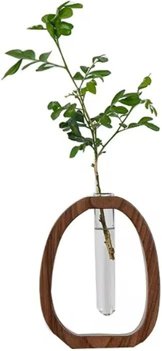 Solid Wood Vase Frame Glass Test Tube Vases, Desk Hydroponic Plant Desktop Decor, Walnut Vase Pla... | Amazon (US)
