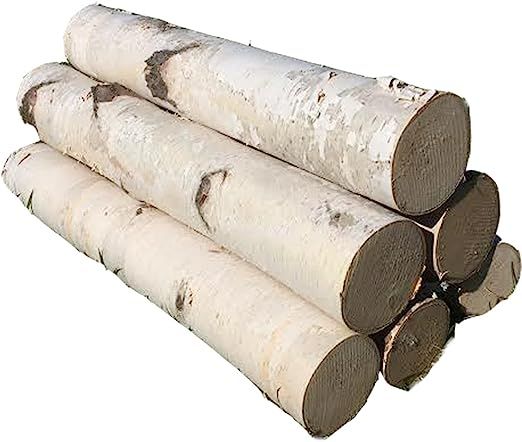 White Birch Log Set for Fireplace 24" | Amazon (US)