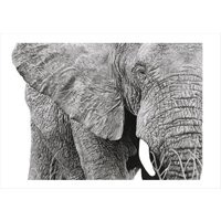 Large Mounted Elephant Art | Hand Drawn Elephant Sketch Wall Wildlife Artwork Black & White Elephant | Etsy (US)