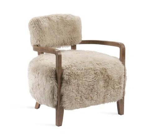 Interlude Royce 26" Wide Armchair | Perigold | Wayfair North America