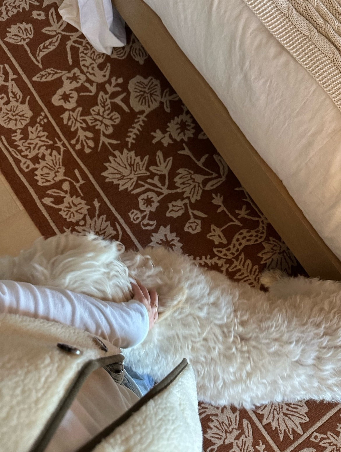 30% off the prettiest rug using code CYBER25

#LTKSaleAlert #LTKHome #LTKCyberWeek