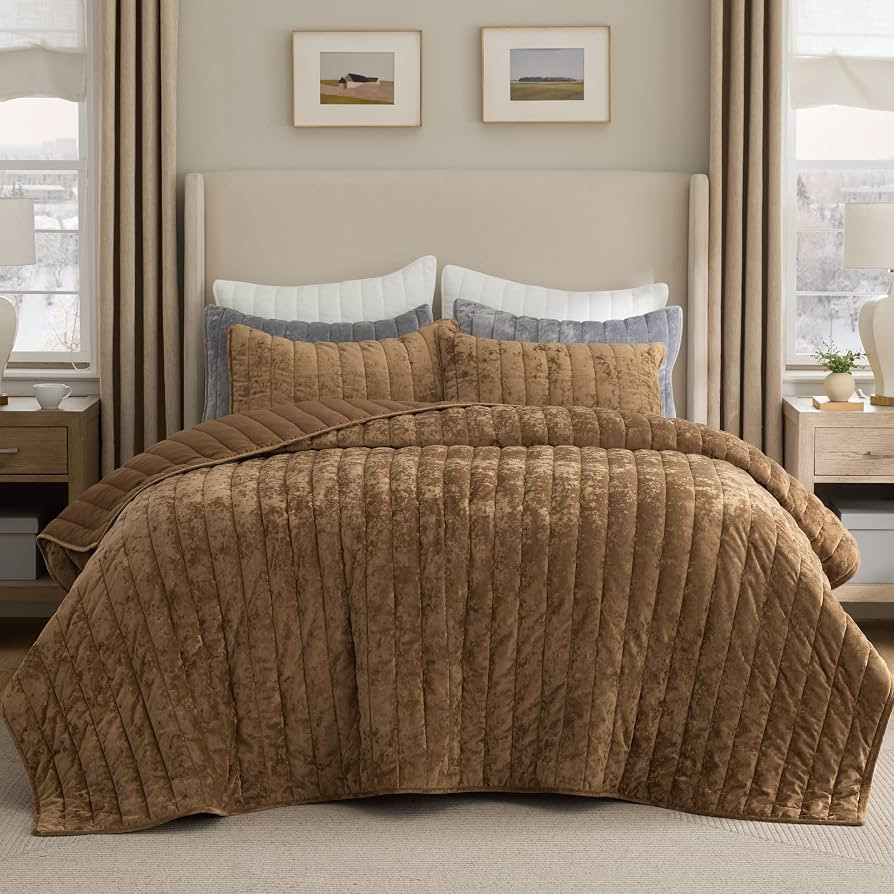 Bedsure Velvet Quilt Queen Size Set - Lightweight Velvet Comforter Queen, Luxury Bedspread Coverl... | Amazon (US)