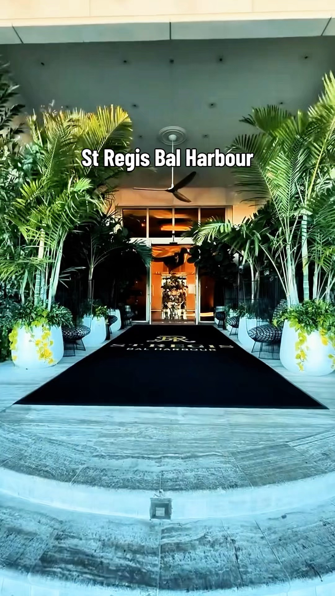 St Regis Bal Harbour is one of Miami’s most iconic luxury beachfront resorts — known for oversized oceanfront suites, private beach access, white glove service, resort pools, spa experiences, and one of the best locations in all of South Florida. What makes this property truly special is that you’re directly across from Bal Harbour Shops, one of the most luxurious open air shopping destinations in the world, filled with designer boutiques, palm lined walkways, art installations, luxury dining, and some of the most sought after fashion houses including Chanel, Hermès, Dior, Prada, Saint Laurent, Gucci, Louis Vuitton, and more ✨

One of Nirvana’s favorite stops across from St Regis Bal Harbour was MAKOTO Miami by Stephen Starr and Chef Makoto Okuwa — a modern Japanese restaurant known for elevated sushi, robata dishes, crispy rice, wagyu, handcrafted cocktails, and one of the most beautiful luxury dining atmospheres in Bal Harbour. The entire area feels like the perfect mix of luxury resort living, fashion, art, and fine dining all in one destination.

Nirvana is linking luxury bags accessories travel favorites and more inspired by this Bal Harbour stay ✨

Nirvana the Shih Tzu 💋 Nirvana Approved

#LTKTravel #LTKdayinmylife #LTKgrwm