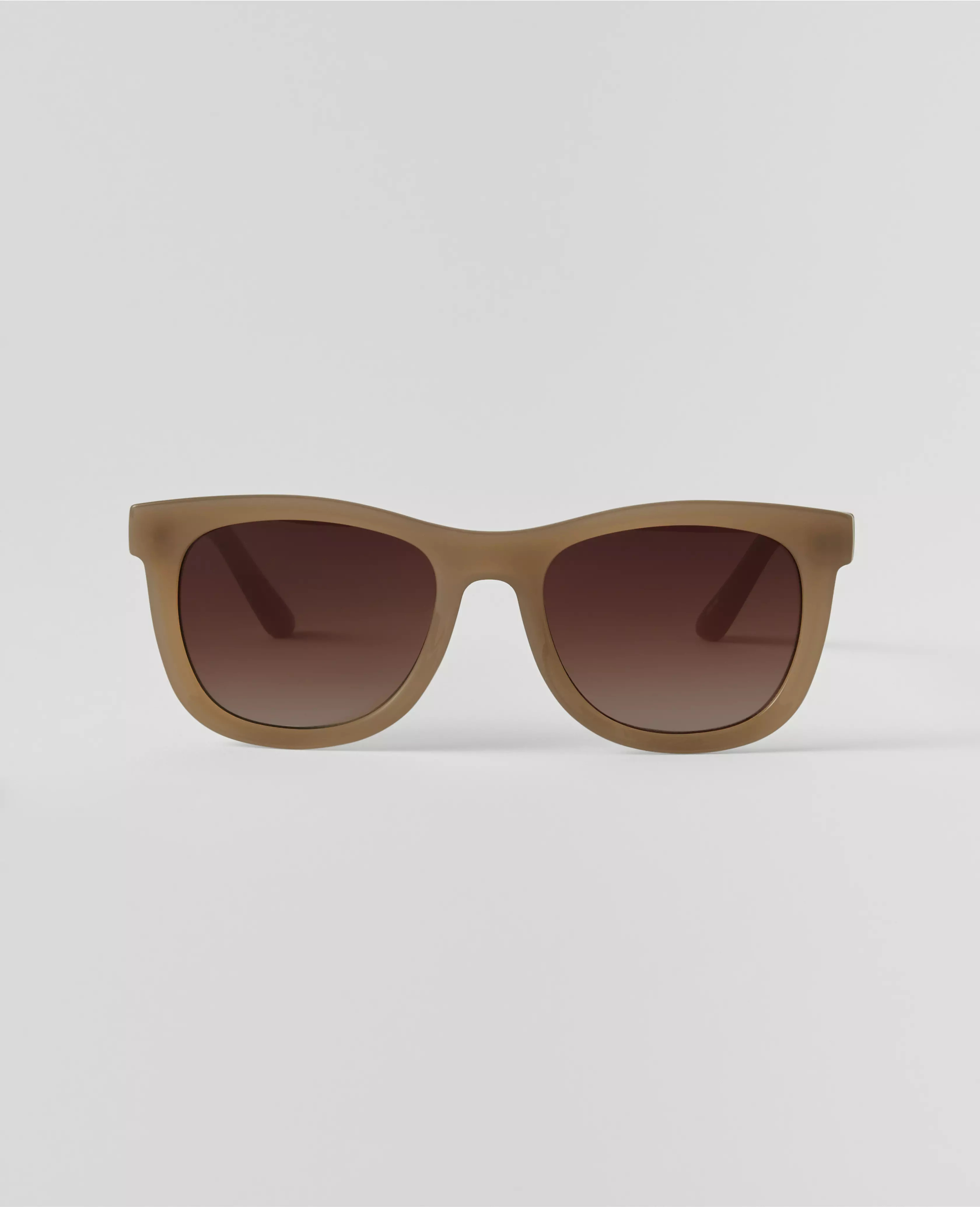 Rounded Square Sunglasses | Ann Taylor