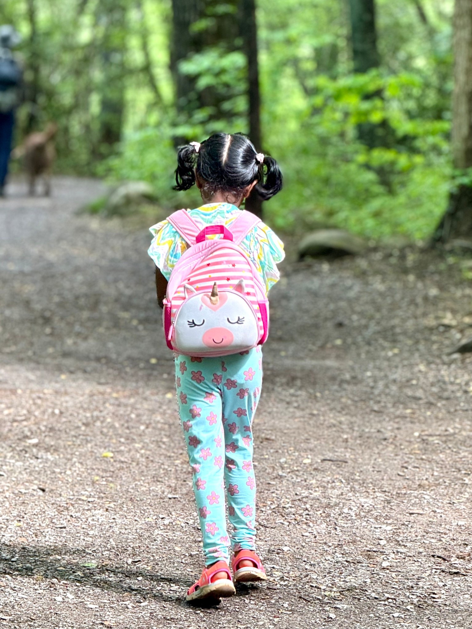 Toddler size backpack that T has been using for her travels since she's 3! Very soft to carry and sturdy. Enough to keep her snacks, yoto player, simple toiletries (lip balm, hand sanitizer and hair clips) - machine washable!  

#LTKmomlife #LTKKids #LTKTravel