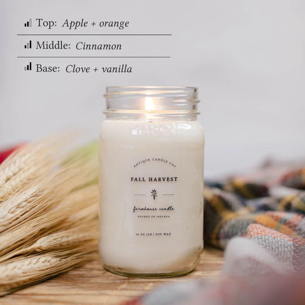 Fall Harvest 16 oz candle | Antique Candle Co.