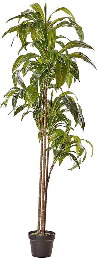 Nearly Natural 6596 6ft. Dracaena Silk Plant (Real Touch),Green | Amazon (US)