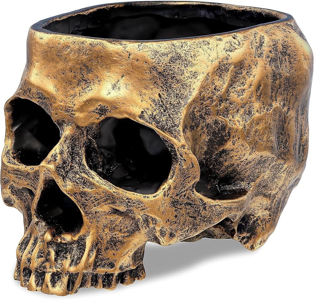 READAEER Skull Bowl Resin Skull Shaped Planter Flower Pot Candy Bowl for Home Office Indoor Desk ... | Amazon (US)