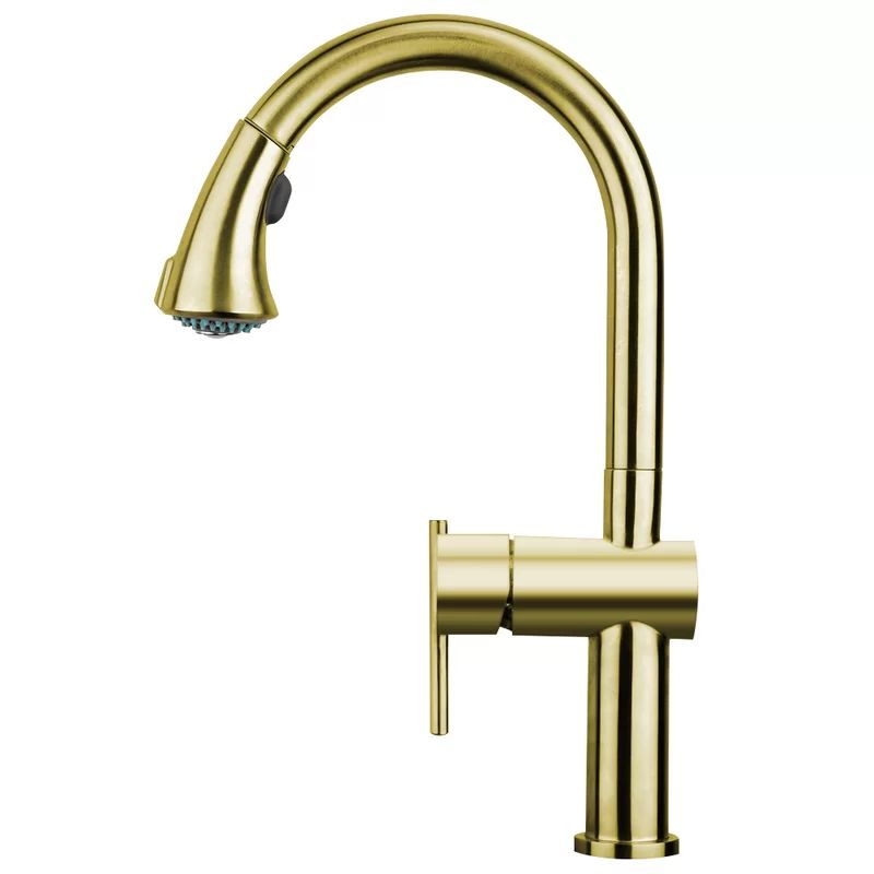 WHS1971-SK-B Waterhaus Pull Out Single Handle Kitchen Faucet | Wayfair North America
