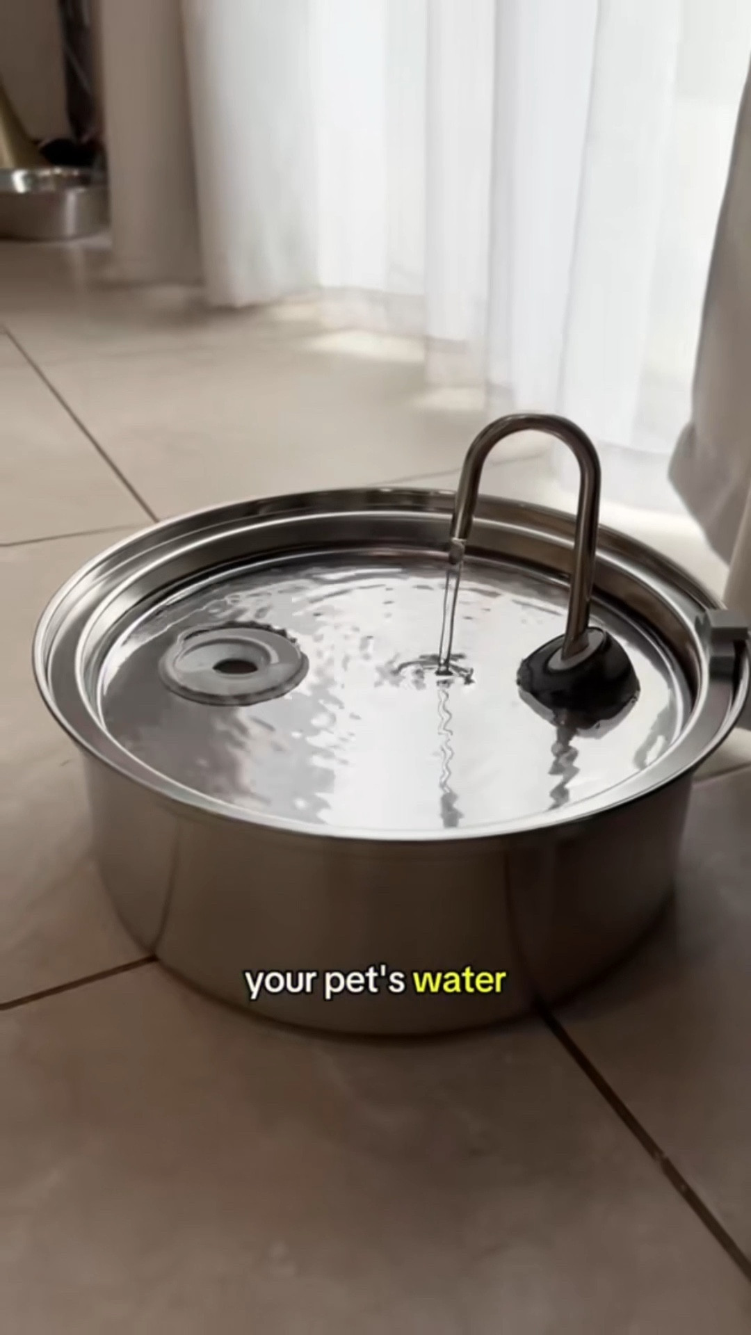 This 7L stainless steel dog water fountain is perfect for keeping my dogs hydrated all day! It features a quiet pump, triple filtration system, and large capacity, so I don’t have to refill it constantly. Plus, it’s easy to clean and great for both large and small dogs. #DogWaterFountain #PetHydration #DogMomFinds #PetEssentials #LTKDog #LTKPet

#LTKPets #LTKFindsUnder50 #LTKSaleAlert