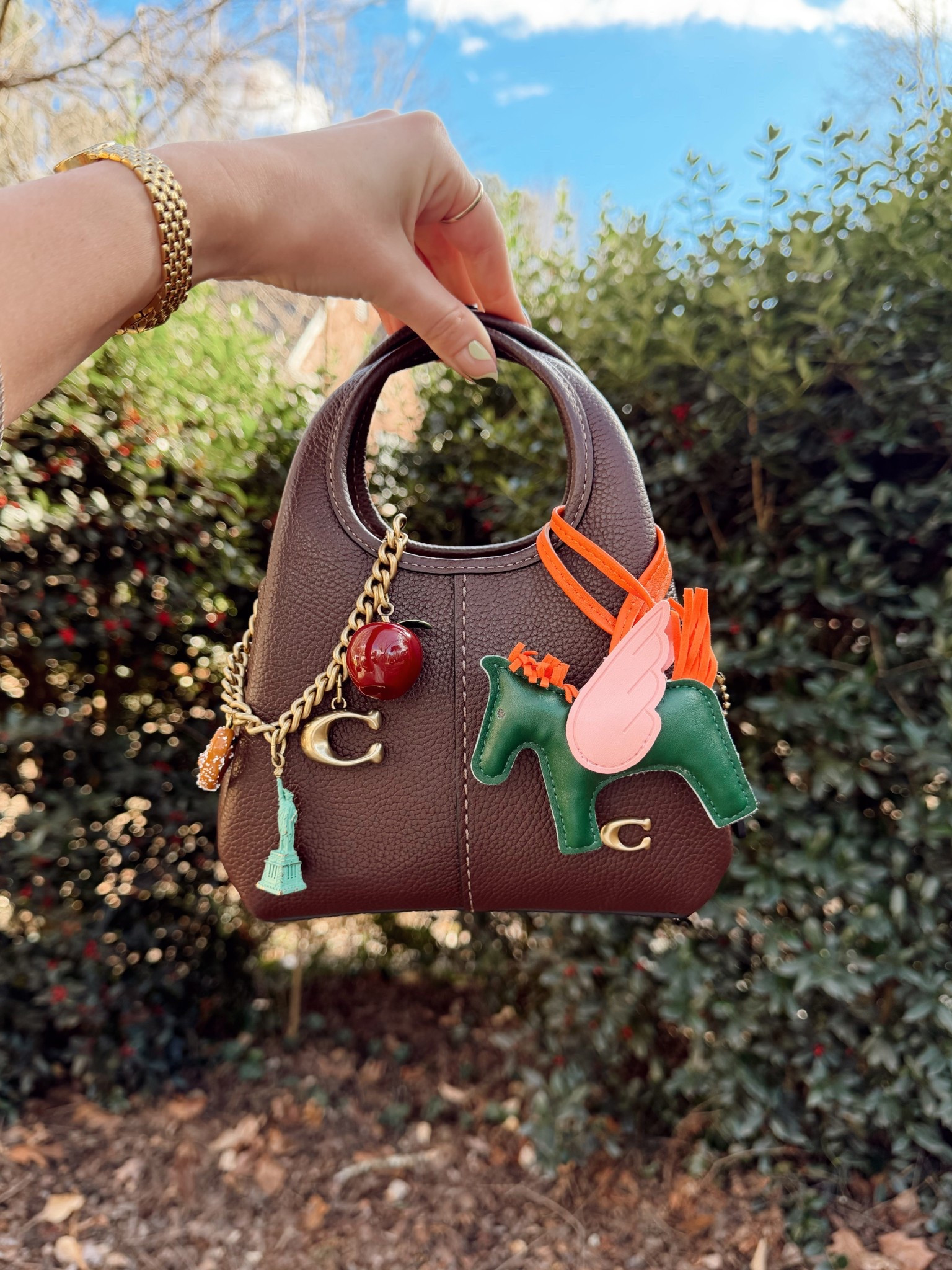 Bag of they 😍
Coach Lana 19
Coach New York chain bag charm
Hermes inspired Pegasus bag charm 
