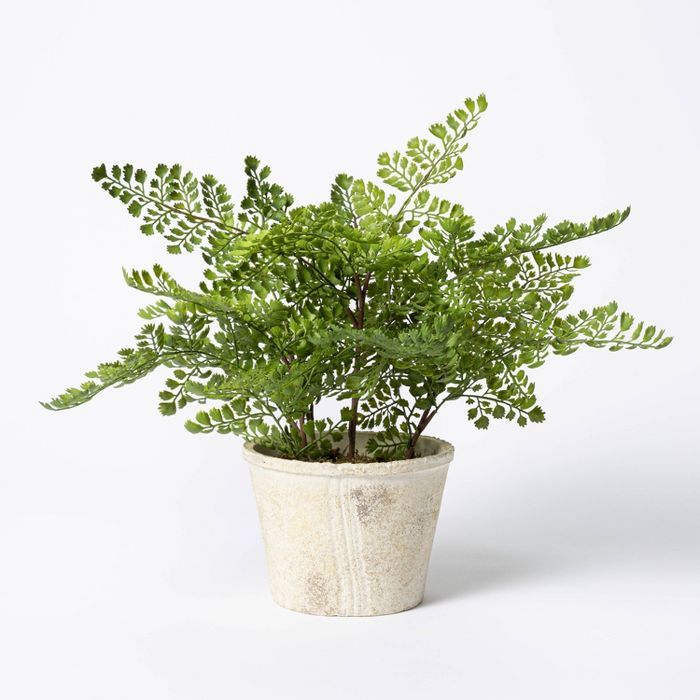 13&#34; x 13&#34; Artificial Fern Plant in Terracotta Pot - Threshold&#8482; designed with Studio... | Target