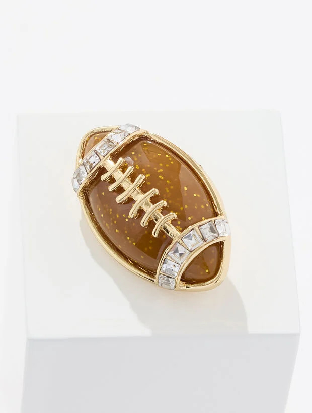 Touchdown Brooch | Talbots
