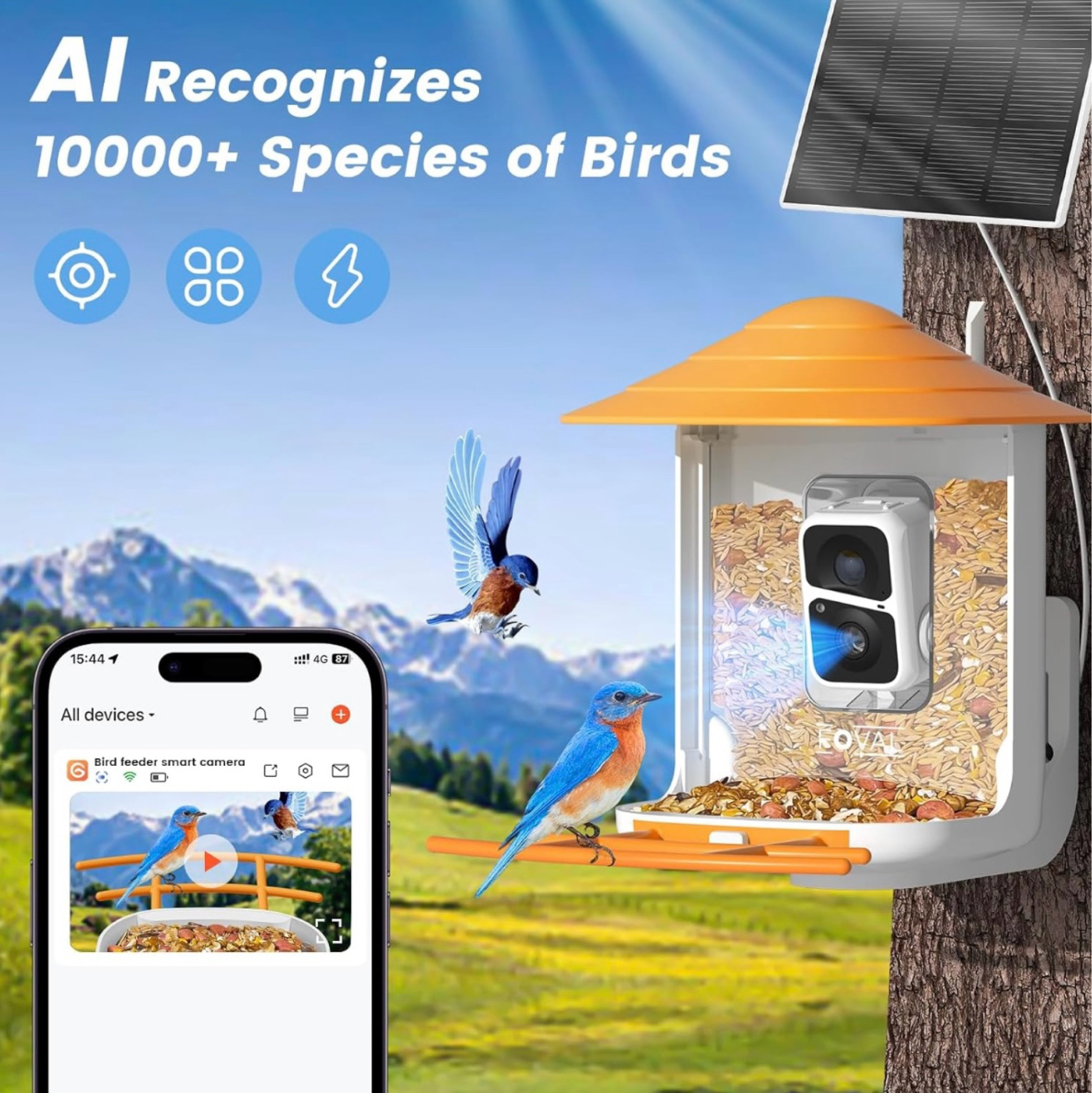 Bird feeder with camera! 

#LTKSeasonal #LTKGiftGuide #LTKHome