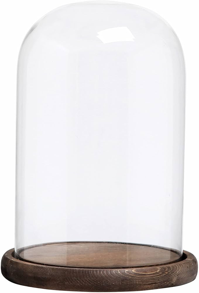 MyGift 10 Inch Tall Clear Glass Empty Display Cloche with Rustic Burnt Solid Wood Base, Decorativ... | Amazon (US)