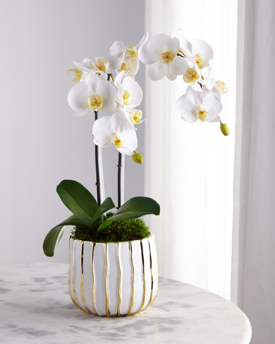 T&C Floral Company White Orchid in White/Gold Pot | Neiman Marcus