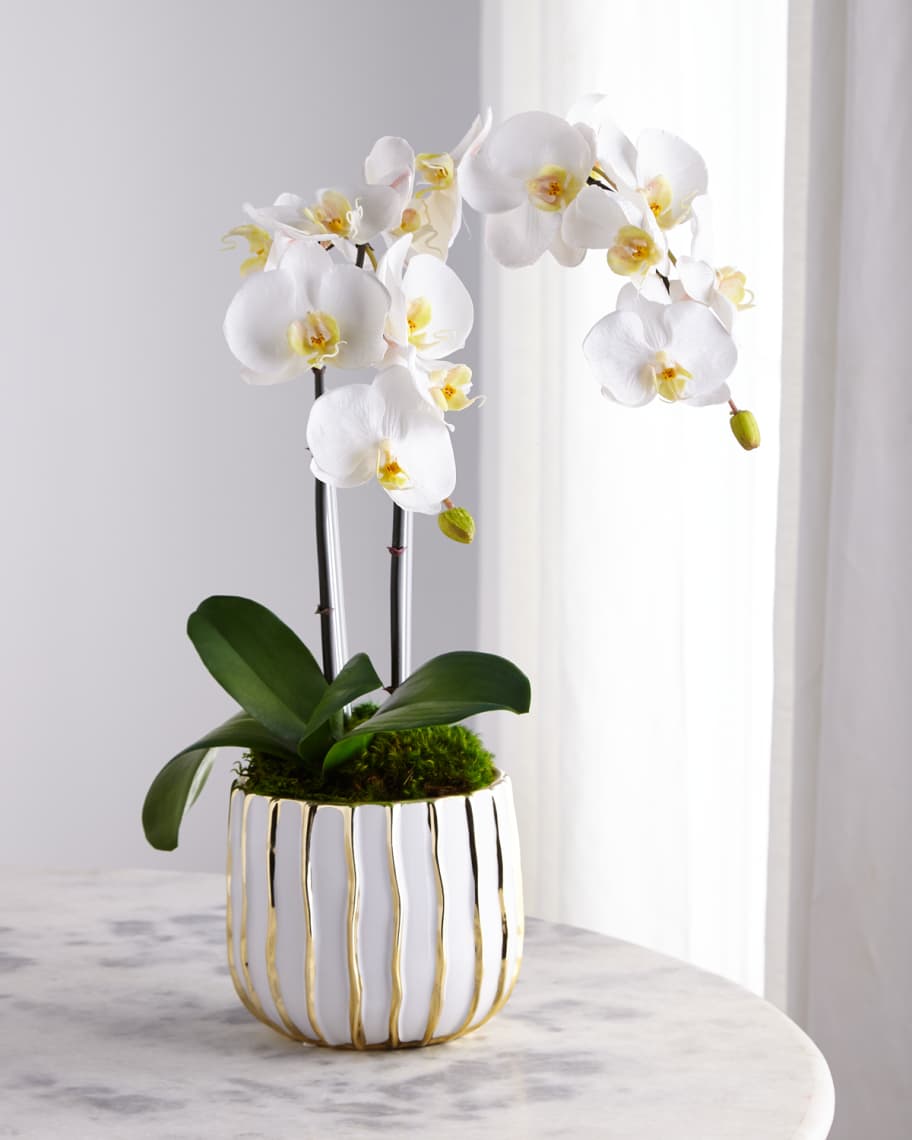 White Orchid in White/Gold Pot | Neiman Marcus