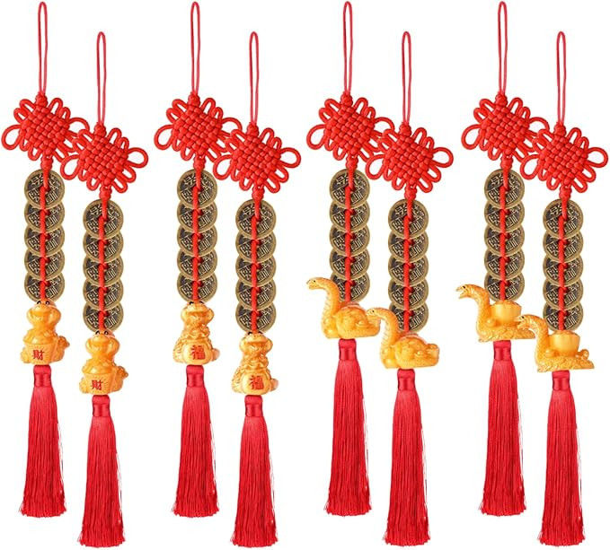 Auch 8 Pieces Chinese Feng Shui Pendant Decor, 2025 Gold Chinese Year of Snake Lucky Charms, Good... | Amazon (CA)