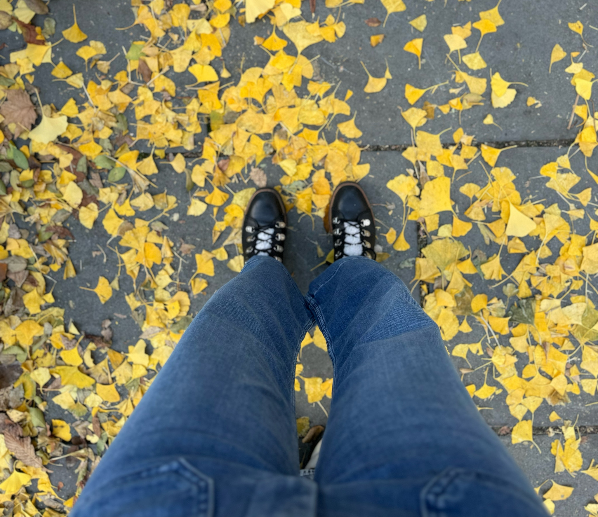Favorite winter boots & the, most comfortable jeans 

#LTKtravel #LTKover40