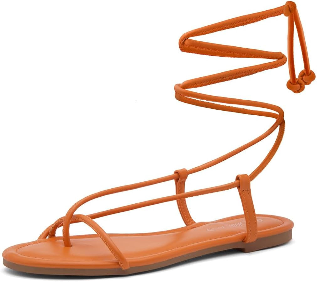 Shoe Land Women’s Flat Sandals – Comfortable Lace-Up Gladiator Sandals with Adjustable Ankle ... | Amazon (US)