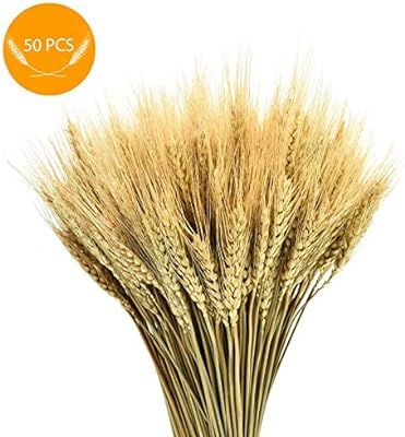 AQUEENLY Wheat Stalks, 50 PCS Natural Dry Wheat Decor for Christmas Wedding Home Office Decoratio... | Amazon (US)
