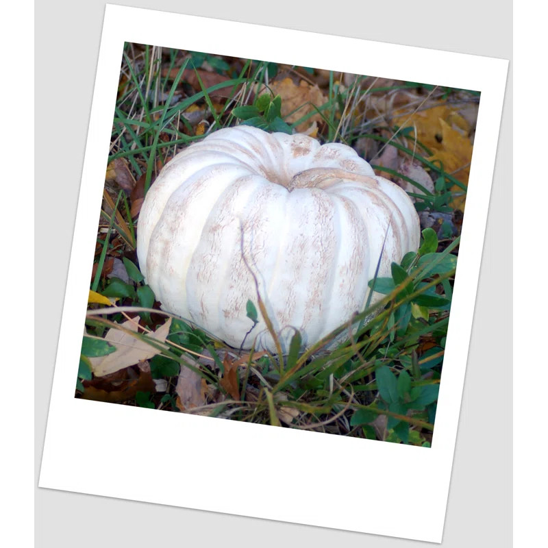 Pumpkin Figurine | Wayfair North America