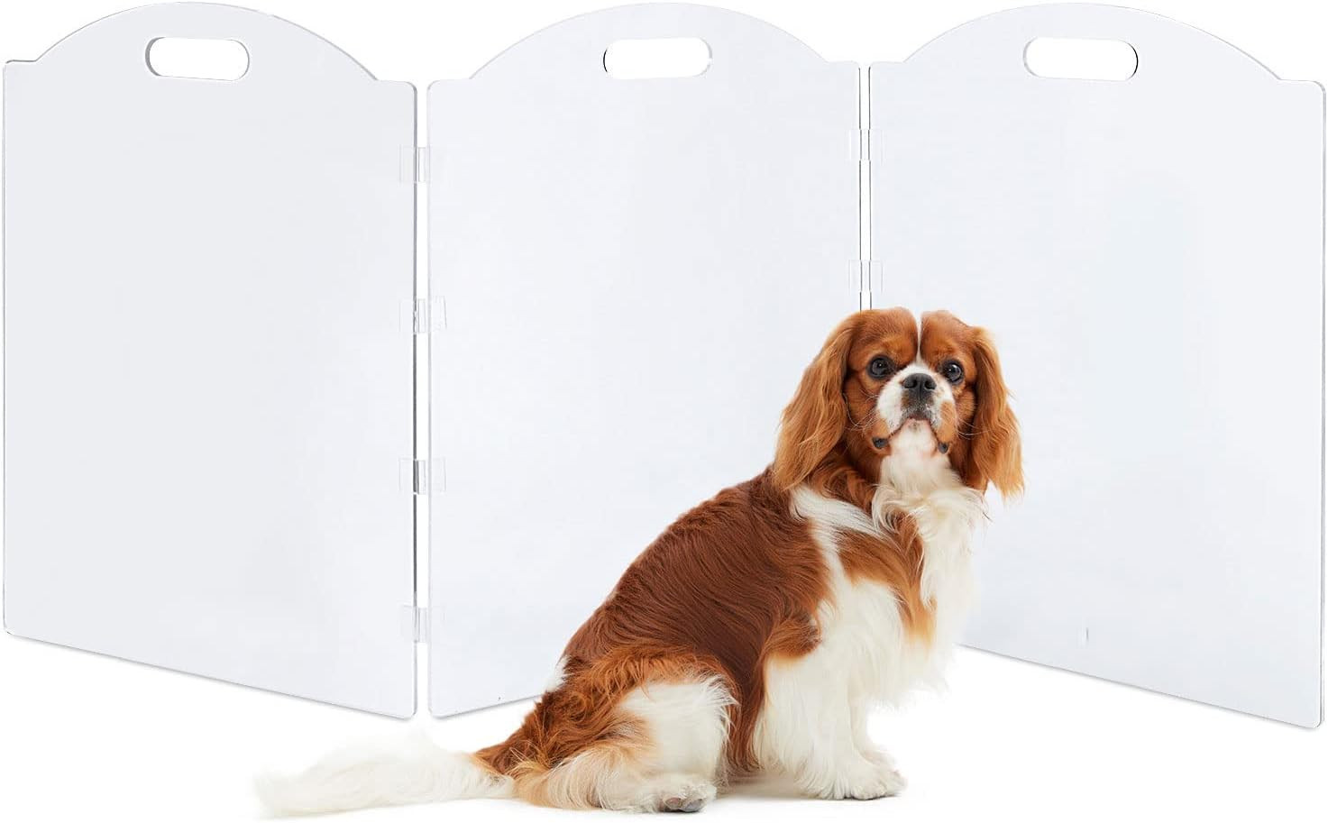 Clear Acrylic Freestanding Dog Gates for the House – Folding 3-Panel Pet Gates for Doorways, Indoor Stairs, and Hallways, Transparent Barrier for Dogs, Puppies, and Cats | Amazon (US)