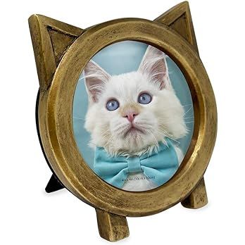 Isaac Jacobs 4x4 Round Resin Sentiment Cat Picture Frame with Ears, Photo Tabletop & Wall Display... | Amazon (US)