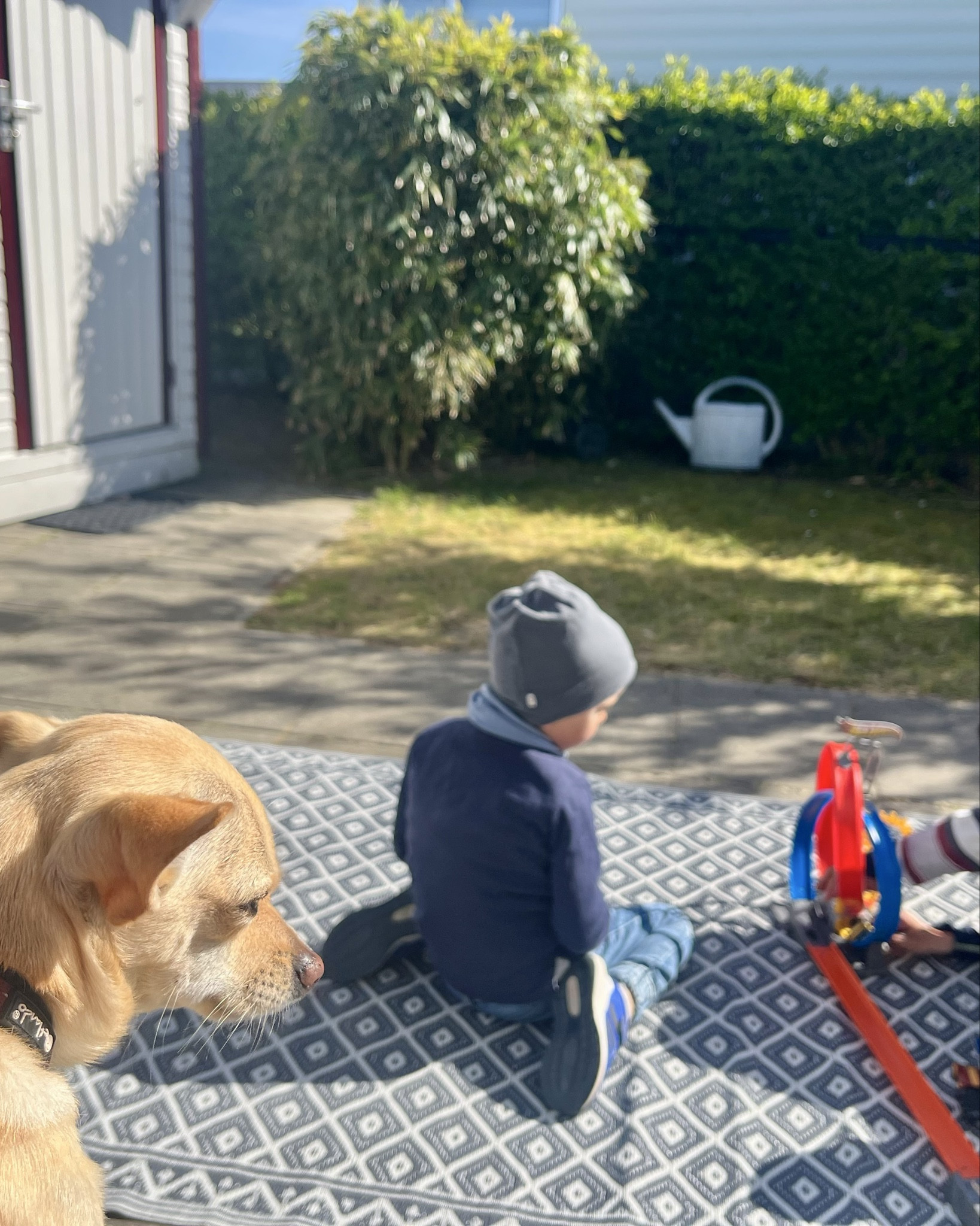 Sunny afternoons like this are my favorite lately ☀️

The boys stayed out here for hours playing with this little track setup, and it’s been the easiest way to keep them happy, creative, and off screens for a bit. I love having a simple outdoor space where they can just play and enjoy the day 🤍

Linked their favorite track set, our outdoor rug, and a few easy outfits we’ve been reaching for on repeat. Everything is comfortable, simple, and perfect for slow afternoons at home.

Grateful for these quiet, joy-filled moments 💛

#momlife #boymom #simpleliving #christianmom #faithfilledhome #slowmotherhood #intentionalparenting #homesweethome #outdoorliving #momstyle #cozymoments #motherhoodunplugged

#LTKdayinmylife #LTKKids #LTKHome
