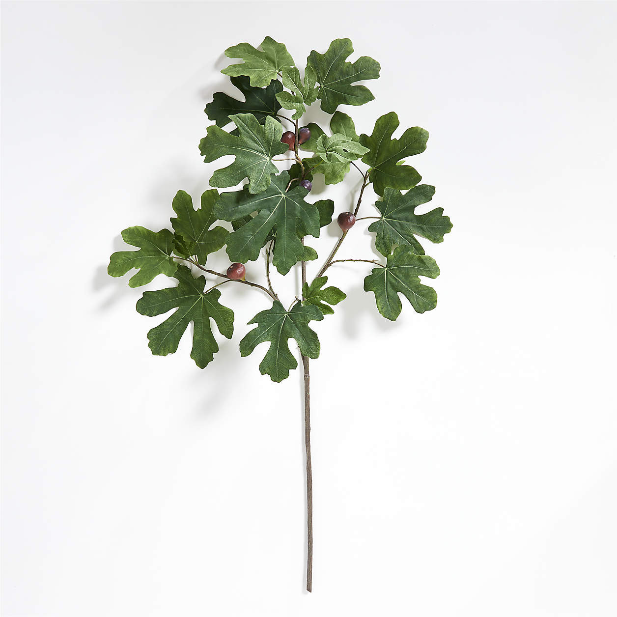 Faux Fig Leaf Stem 60" + Reviews | Crate & Barrel | Crate & Barrel