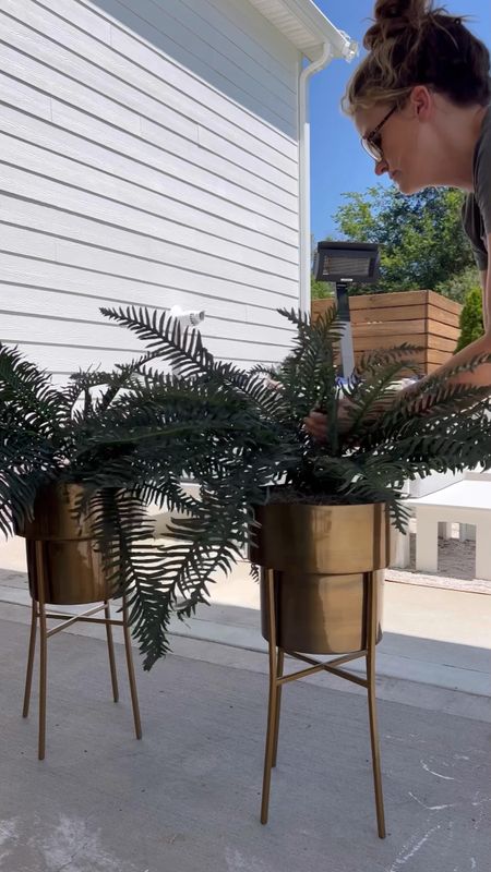 This faux fern set is amazing! Comes with everything you need! Gold planters pots with holder foam and Spanish moss. The look so beautiful and realistic porch decor patio and pool faux artificial silk trees plants and flowers outdoor home decor 

#LTKhome #LTKFind #LTKstyletip
