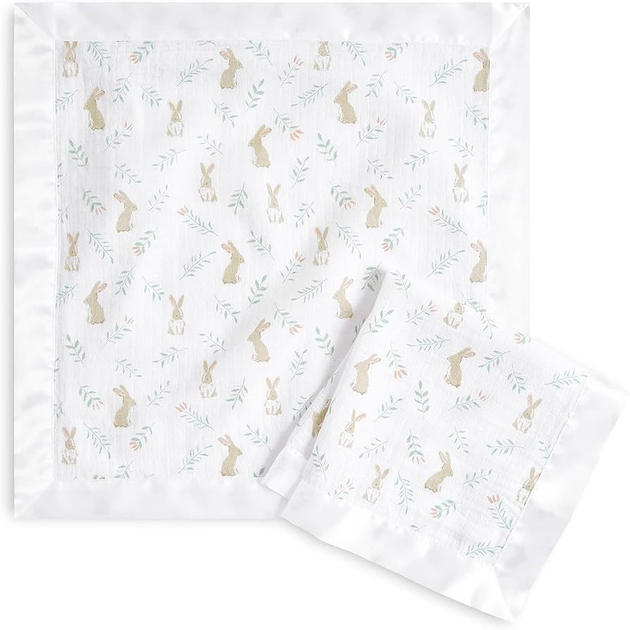 aden + anais Essentials Issie Security Blankets, Super Soft 100% Cotton Muslin, 2 Pack, Blushing ... | Amazon (US)
