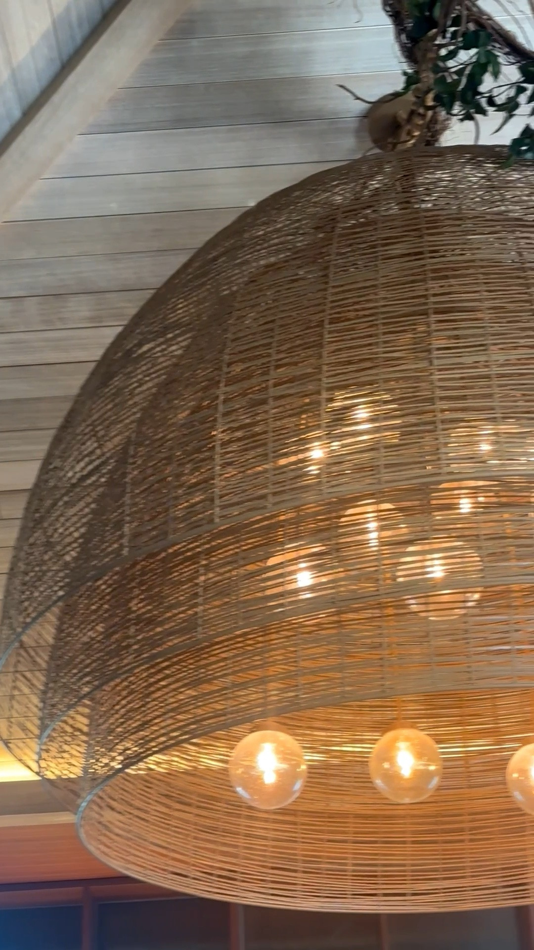 Statement-making chandeliers have a way of transforming a space instantly. This oversized woven design paired with cascading greenery brings warmth, texture, and a relaxed resort-inspired feel that draws your eye upward the moment you walk in. A perfect reminder that lighting isn’t just functional—it’s part of the architecture.

#StatementLighting #Chandelier #WovenLighting #NaturalTextures #InteriorDesign #CoastalStyle #ResortStyle #OrganicModern #CeilingDesign #LightingDesign #HomeDecor #DesignInspiration #LuxuryInteriors #StatementPiece #InteriorStyling #LTKHome #ART

#LTKdayinmylife #LTKHome