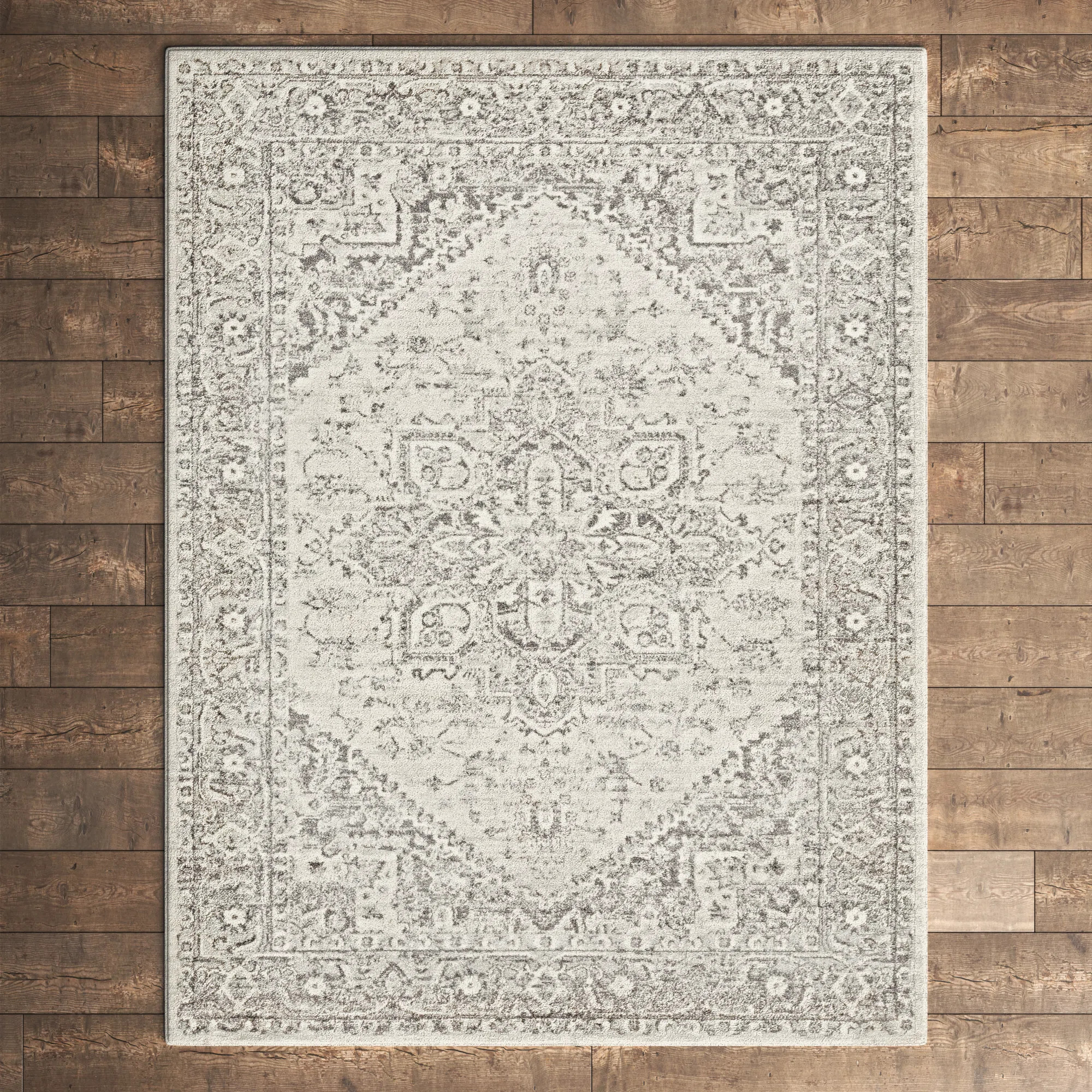Benoit Oriental Area Rug in Charcoal/Light Beige | Wayfair North America