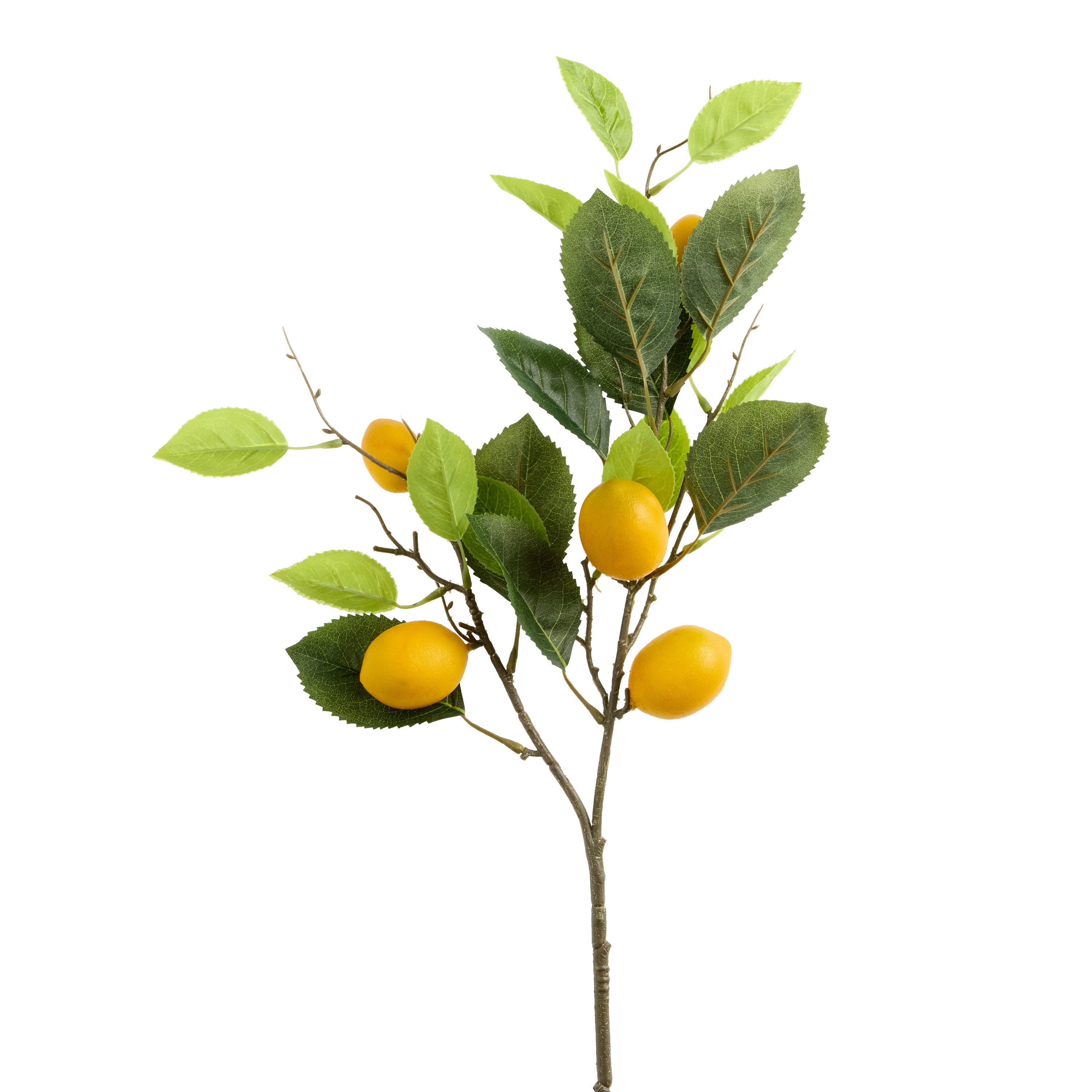 Faux Lemon Stem | World Market